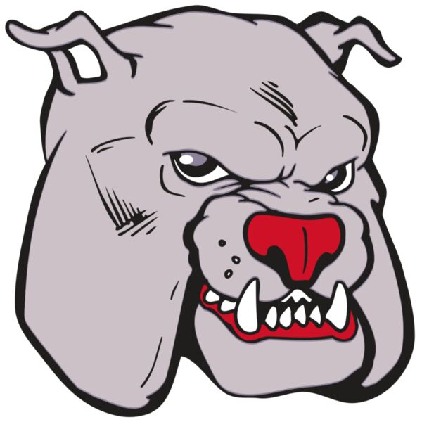 AR BDOG 11 RC Thumbnail