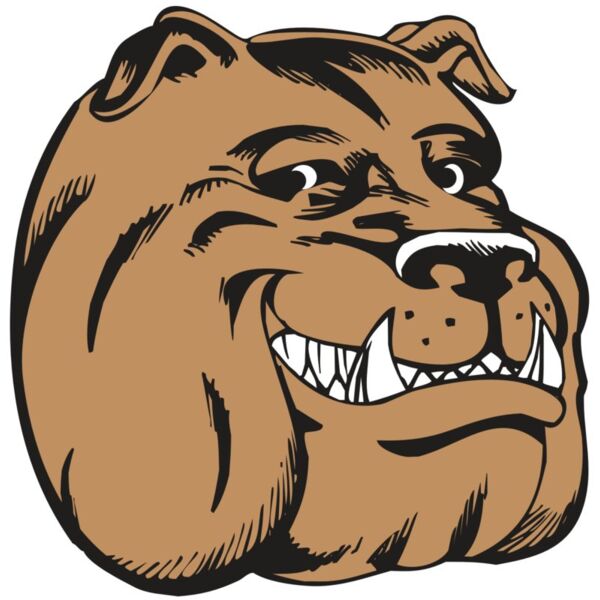 BAW BULLDOG 04 RC Thumbnail