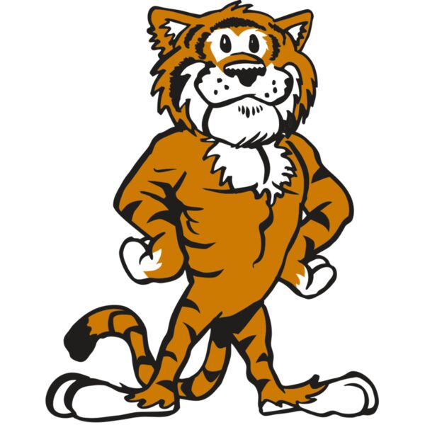 AR TIGER 91 RC Thumbnail